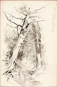 Oak Cliff, Dallas da George Elbert Burr