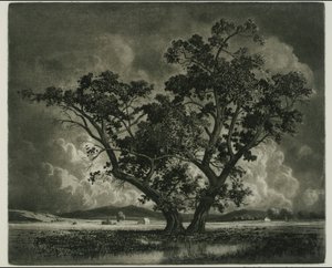 Old Cottonwoods, Colorado da George Elbert Burr