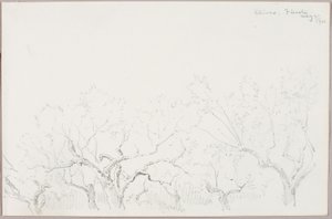 Olive--Fiesole da George Elbert Burr