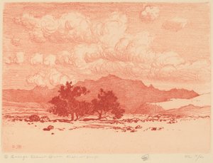 Alberi di Palo Verde da George Elbert Burr