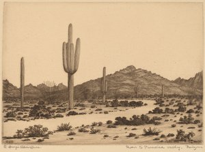 Strada per Paradise Valley, Arizona
