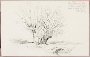 Roche Vaud da George Elbert Burr