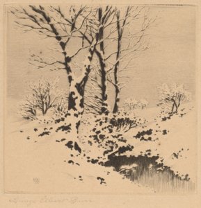 Neve da George Elbert Burr