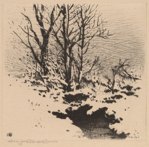 La prima neve (n.2) da George Elbert Burr