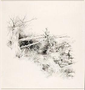 Senza titolo (Ruscello di bosco) da George Elbert Burr