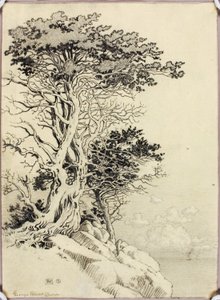 Senza titolo (disegno per la stampa) da George Elbert Burr
