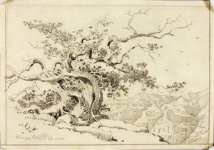 Senza titolo (disegno da trasferimento per Sera, Apache Trail, Arizona) da George Elbert Burr