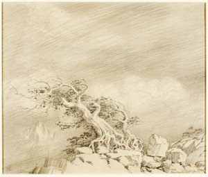 Senza titolo (disegno di trasferimento per Storm near Timberline) da George Elbert Burr