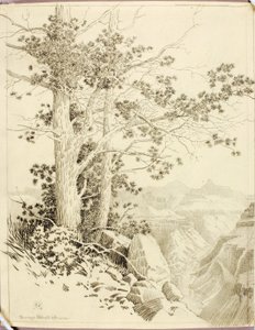 Senza titolo (disegno di trasferimento per stampa) da George Elbert Burr