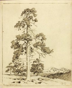 Senza titolo (disegno di trasferimento per stampa) da George Elbert Burr
