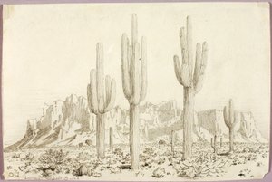 Senza titolo da George Elbert Burr