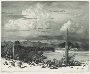 Fiume Verde, Riserva Apache, Arizona da George Elbert Burr