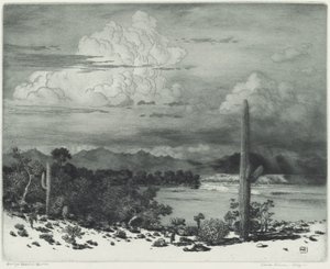 Fiume Verde, Arizona da George Elbert Burr