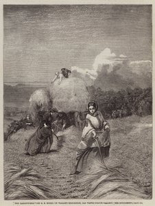 Il campo d