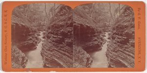 Paesaggio di Watkins Glen, Shadow Gorge, c. 1860 (foto) da George F. Gates