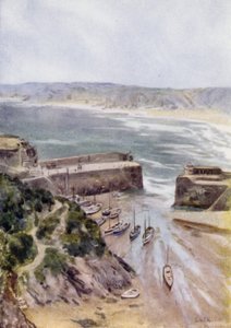 Newquay da George Franck Nicholls