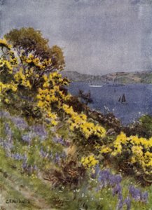 Le rive del Fal, Falmouth