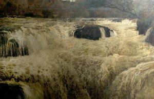 Salto del salmone, Cenarth Falls, Cardiganshire, Galles da George Frank Miles
