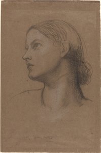 Testa di una giovane donna
