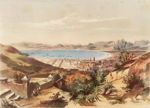 Città del Capo da George French Angas