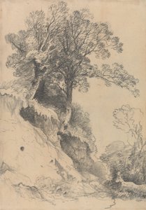Alberi su una Sponda in Rovina