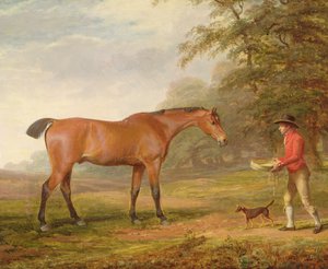Un cavallo baio avvicinato da un garzone di scuderia con cibo e cavezza, 1789