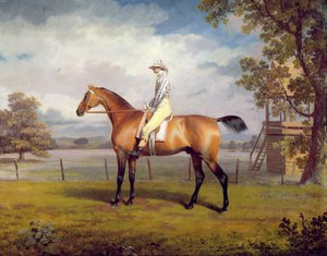 Il travestimento del Duca di Hamilton con fantino da George Garrard