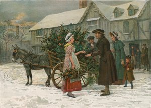 Il Carretto di Agrifoglio