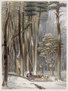 Inverno, viaggiatori ostacolati in una foresta di pini, da Scene della foresta primitiva d