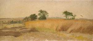 Studio di un campo di grano, metà XIX secolo da George Heming Mason
