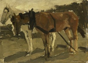 Un cavallo marrone e uno bianco a Scheveningen da George Hendrik Breitner