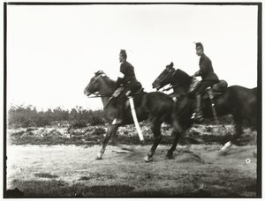Cavalieri gialli dell