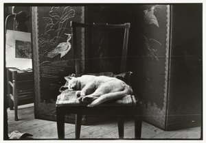 Gatto su una sedia nello studio di Breitner ad Amsterdam