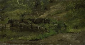 Paesaggio di prato