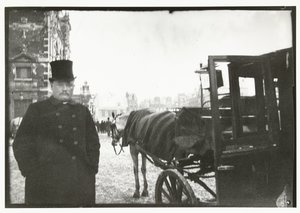 Cavalli con carrozza in Leidseplein ad Amsterdam