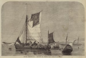 Pesca britannica, n. 7, trotting per whelks da George Henry Andrews
