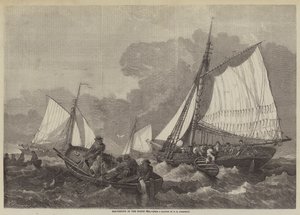 Pesca del merluzzo nel Mare del Nord
