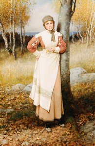 Una rosa nel New England