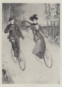 Un giro nel giorno di San Valentino da George Henry Edwards