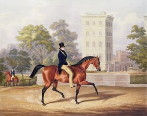 Il marchese di Anglesea a cavallo a Hyde Park, nel suo 80º anno, inciso da J. Harris, 1847