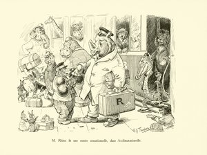 Mr Rhino ha fatto un