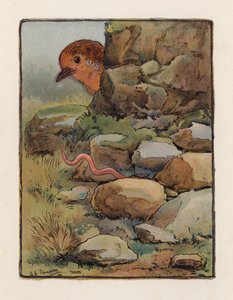 Il verme da George Henry Thompson
