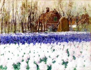 Un Cottage e un Campo di Giacinti