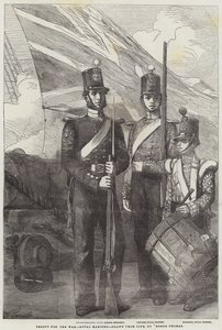 Truppe per la guerra, Royal Marines
