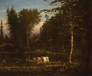 Nelle Adirondacks da George Inness