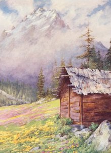 Caltha palustris e Primula farinosa nei campi superiori di Champex verso la fine di maggio da George Jackson Flemwell