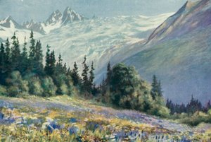 Campanula e altri fiori di luglio sul Col Des Montets da George Jackson Flemwell