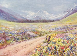 Prati di giugno di Salvia, Lychnis, ecc., nella Val Ferret, poco prima di arrivare al villaggio di Praz de Fort (litografia a colori) da George Jackson Flemwell