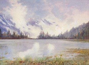 Lago Champex tra le nuvole a fine maggio; Caltha palustris e Primula farinosa sul bordo dell