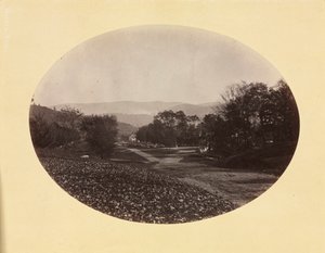 Una strada a Williamstown da George Kendall Warren